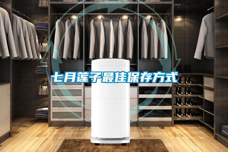 七月蓮子最佳保存方式