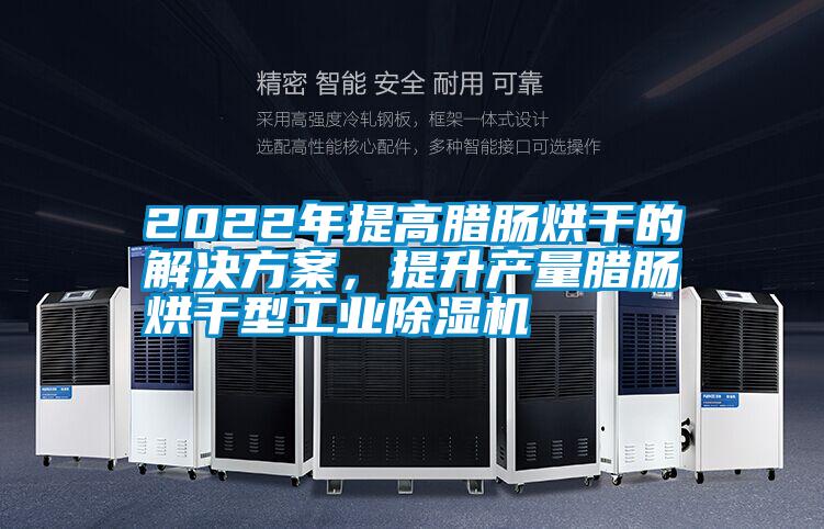 2022年提高臘腸烘干的解決方案,提升產量臘腸烘干型工業除濕機