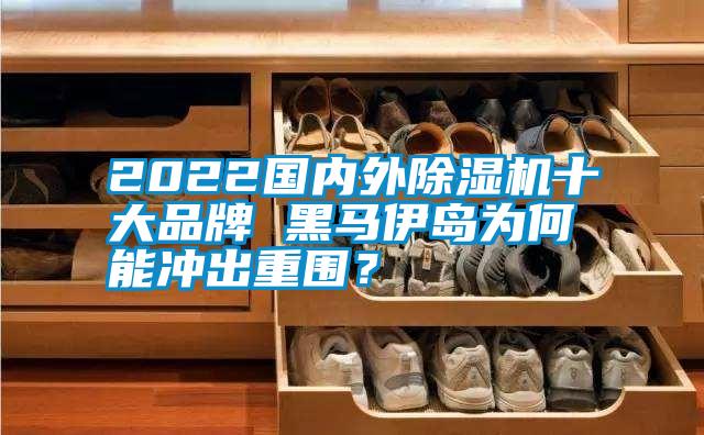 2022國內外除濕機十大品牌 黑馬伊島為何能沖出重圍？