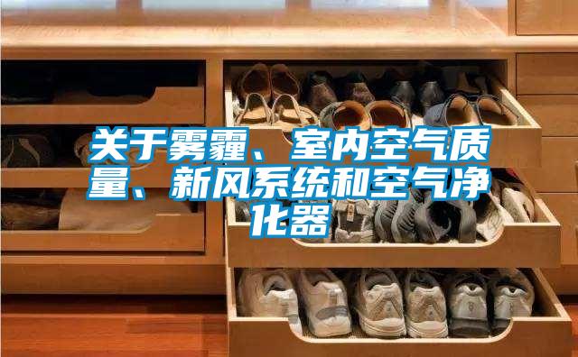 關于霧霾、室內空氣質量、新風系統和空氣凈化器