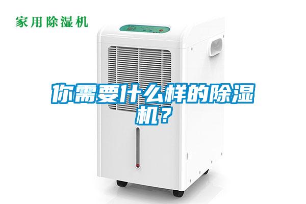 你需要什么樣的除濕機？
