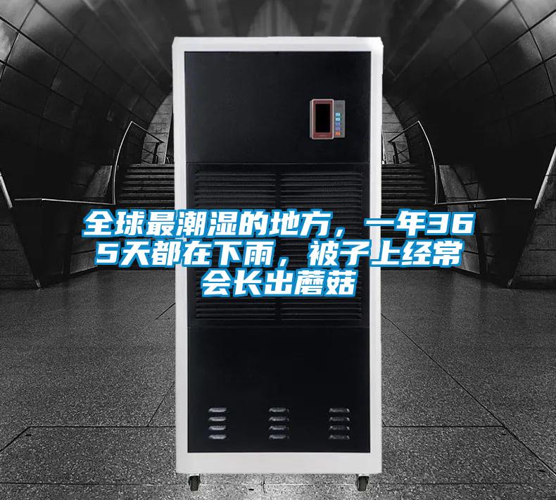 全球最潮濕的地方，一年365天都在下雨，被子上經常會長出蘑菇