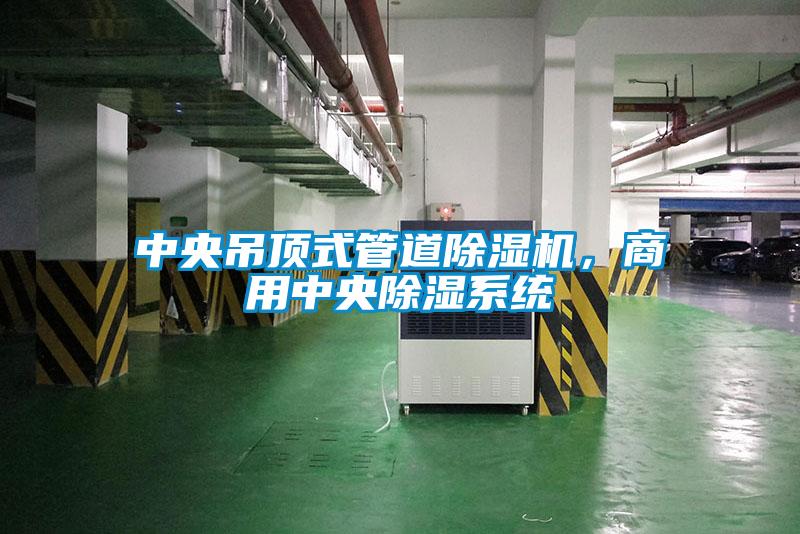 中央吊頂式管道除濕機，商用中央除濕系統