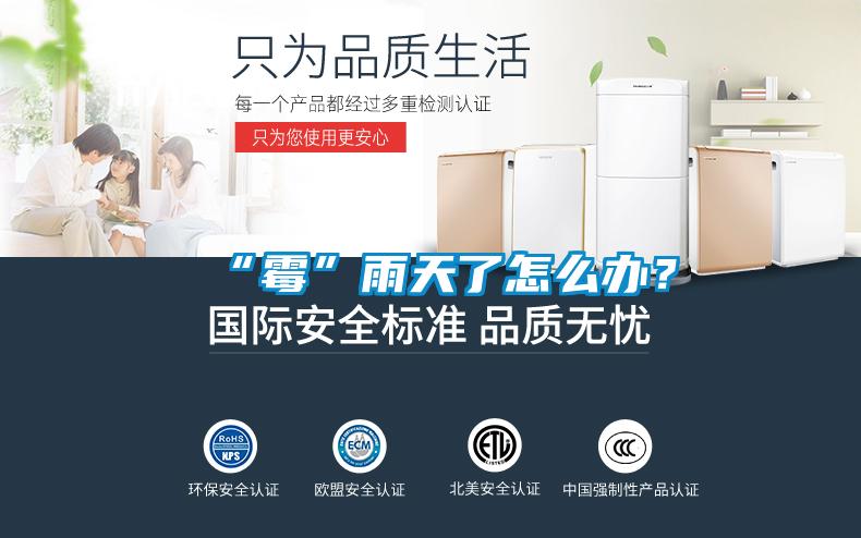 “霉”雨天了怎么辦?