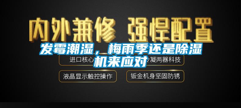 發霉潮濕,梅雨季還是除濕機來應對