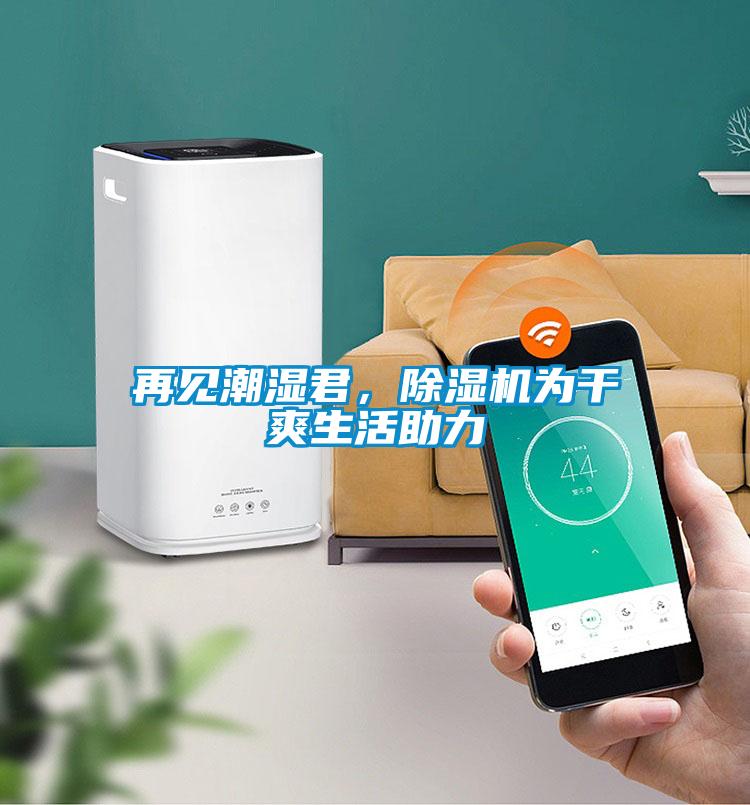 再見潮濕君,除濕機為干爽生活助力