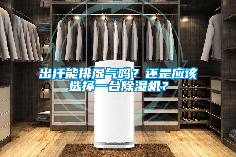 出汗能排濕氣嗎?還是應(yīng)該選擇一臺除濕機(jī)?