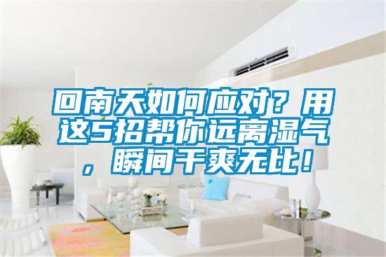 回南天如何應(yīng)對？用這5招幫你遠(yuǎn)離濕氣，瞬間干爽無比！