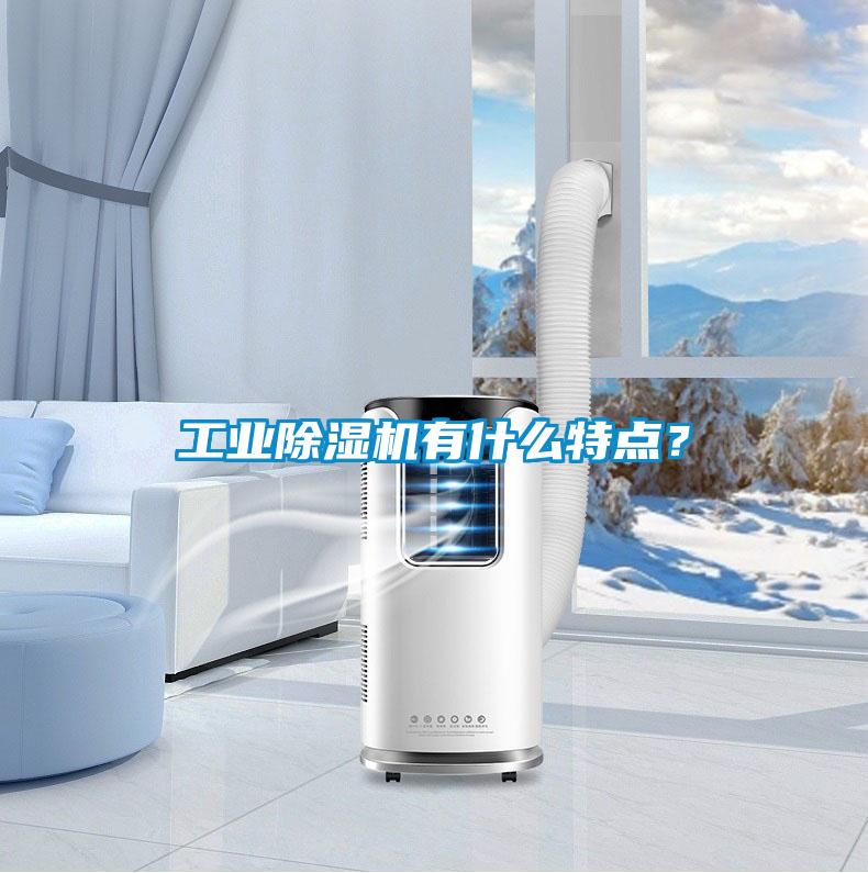 工業除濕機有什么特點?