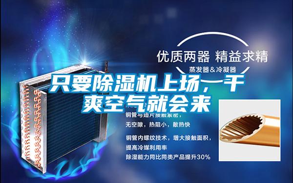 只要除濕機上場,干爽空氣就會來