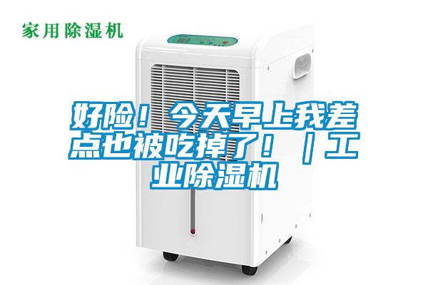 好險!今天早上我差點也被吃掉了!|工業(yè)除濕機