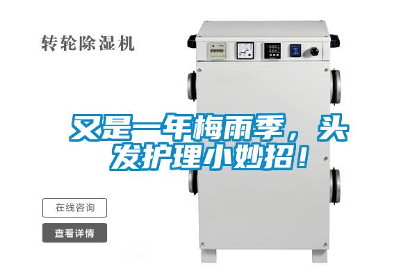 又是一年梅雨季，頭發護理小妙招！