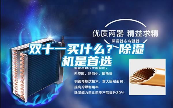雙十一買什么？除濕機(jī)是首選