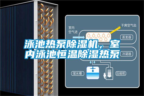 泳池熱泵除濕機，室內泳池恒溫除濕熱泵