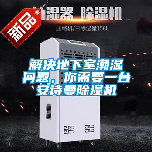 解決地下室潮濕問題，你需要一臺安詩曼除濕機