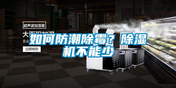 如何防潮除霉？除濕機不能少