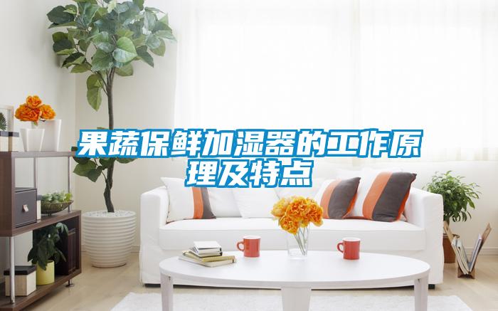 果蔬保鮮加濕器的工作原理及特點(diǎn)