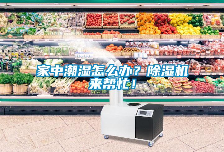 家中潮濕怎么辦？除濕機來幫忙！