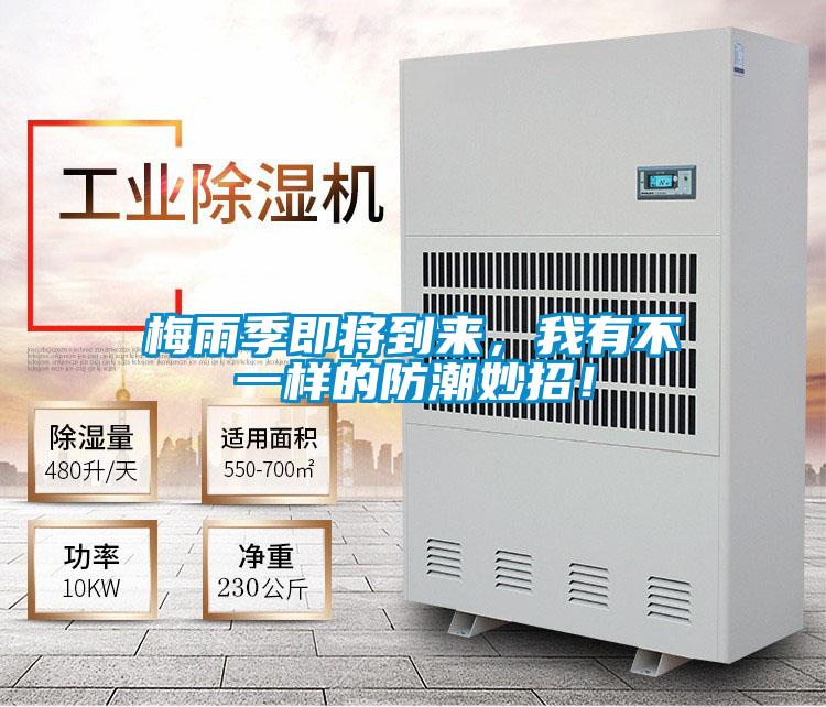 梅雨季即將到來(lái)，我有不一樣的防潮妙招！