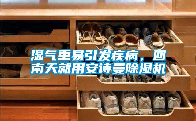 濕氣重易引發(fā)疾病，回南天就用安詩(shī)曼除濕機(jī)
