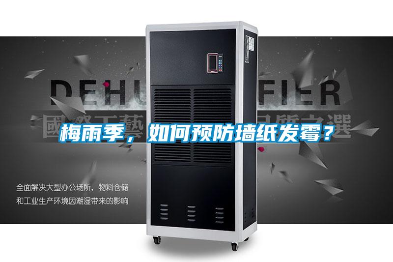 梅雨季,如何預防墻紙發霉?