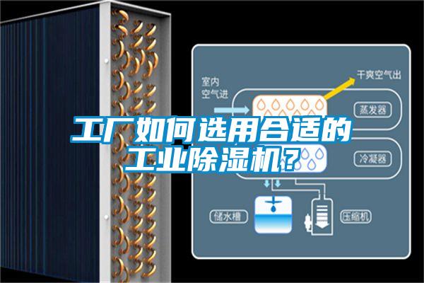 工廠如何選用合適的工業除濕機？