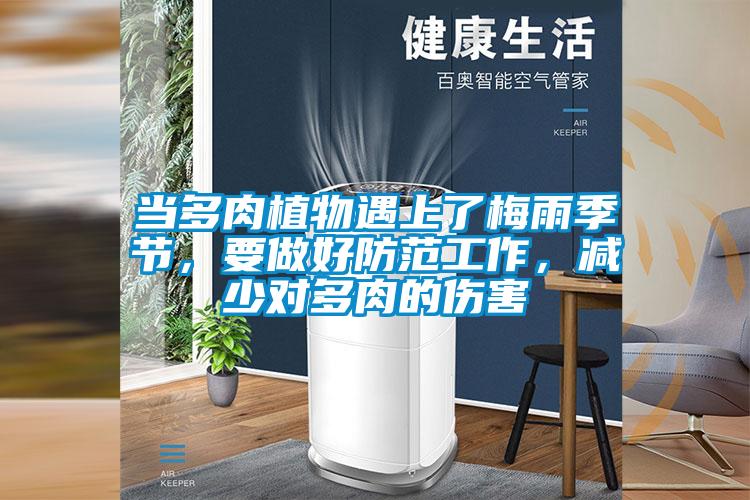 當(dāng)多肉植物遇上了梅雨季節(jié)，要做好防范工作，減少對多肉的傷害