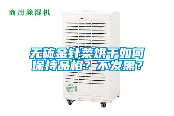 無硫金針菜烘干如何保持品相？不發(fā)黑？