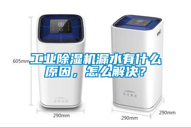 工業(yè)除濕機(jī)漏水有什么原因,怎么解決?