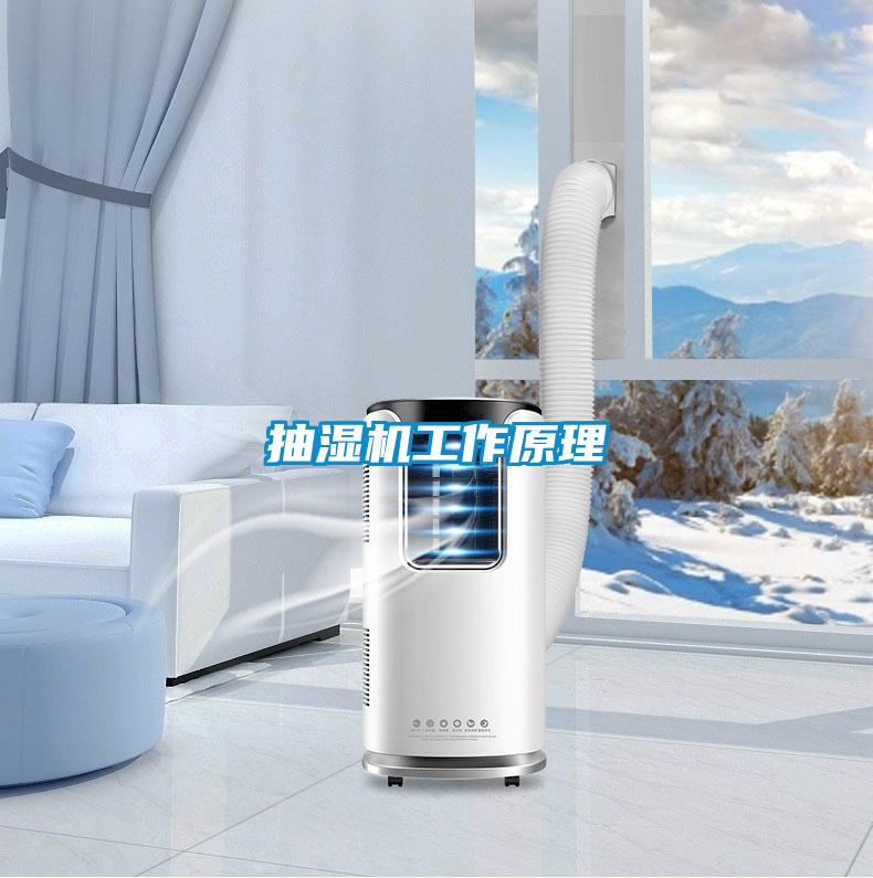 抽濕機(jī)工作原理