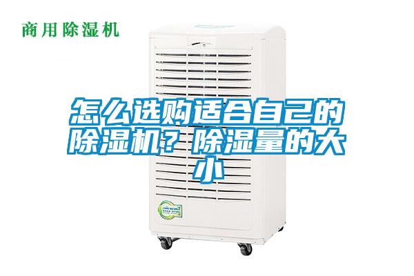 怎么選購適合自己的除濕機？除濕量的大小