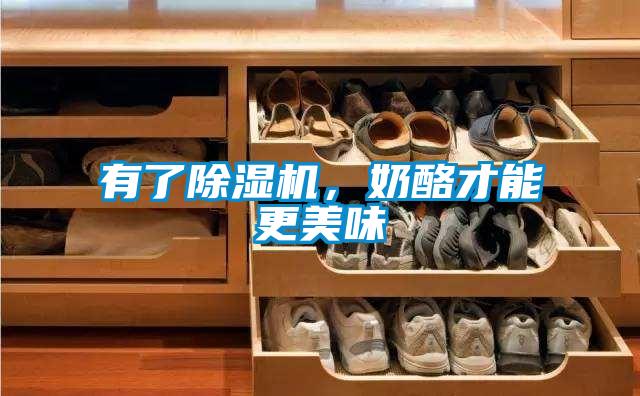 有了除濕機(jī),奶酪才能更美味