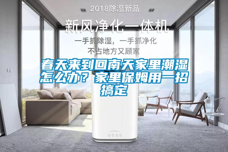 春天來到回南天家里潮濕怎么辦？家里保姆用一招搞定