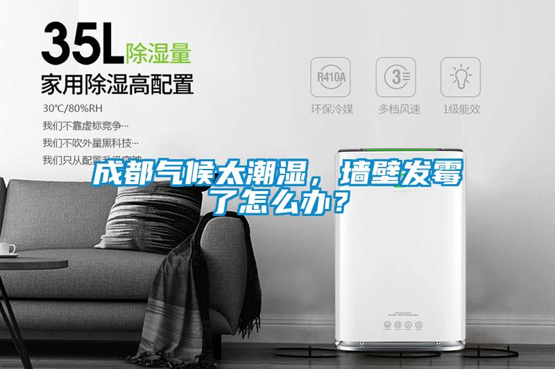 成都?xì)夂蛱睗瘢瑝Ρ诎l(fā)霉了怎么辦?