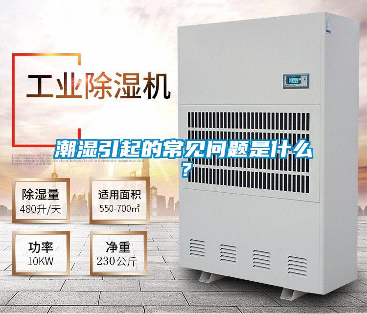 潮濕引起的常見(jiàn)問(wèn)題是什么?