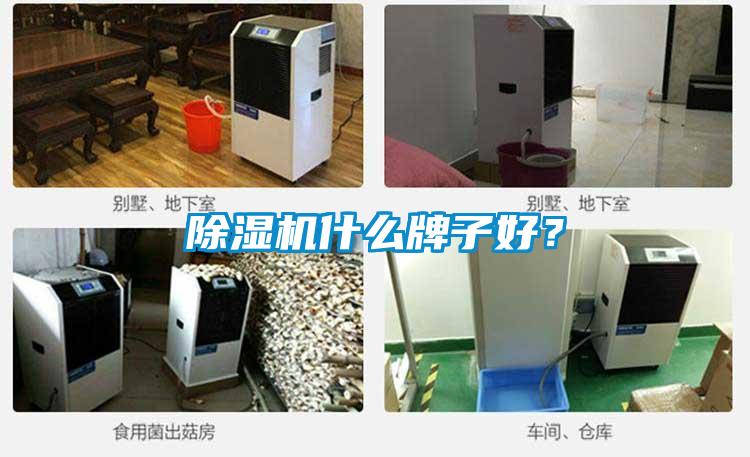 除濕機(jī)什么牌子好?