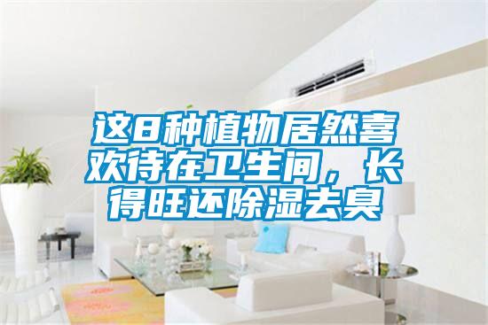 這8種植物居然喜歡待在衛生間,長得旺還除濕去臭