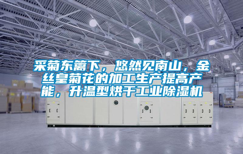 采菊東籬下，悠然見南山，金絲皇菊花的加工生產提高產能，升溫型烘干工業除濕機
