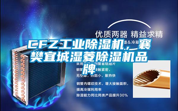 CFZ工業(yè)除濕機(jī),襄樊宜城濕菱除濕機(jī)品牌