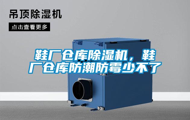 鞋廠倉庫除濕機(jī)，鞋廠倉庫防潮防霉少不了