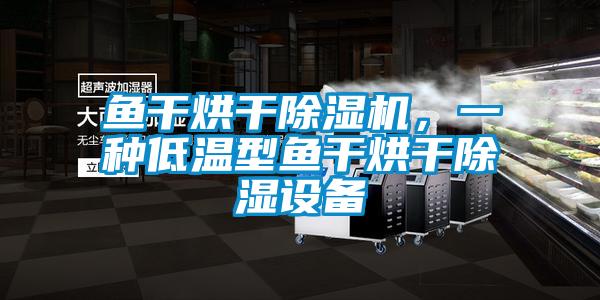 魚干烘干除濕機，一種低溫型魚干烘干除濕設備
