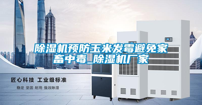 除濕機預防玉米發霉避免家畜中毒_除濕機廠家