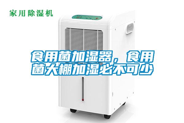 食用菌加濕器,食用菌大棚加濕必不可少