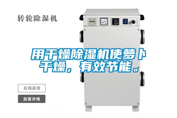 用干燥除濕機使蘿卜干燥，有效節能。