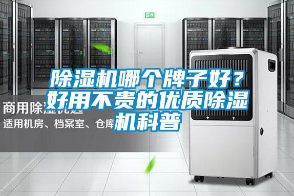 除濕機哪個牌子好？好用不貴的優(yōu)質(zhì)除濕機科普