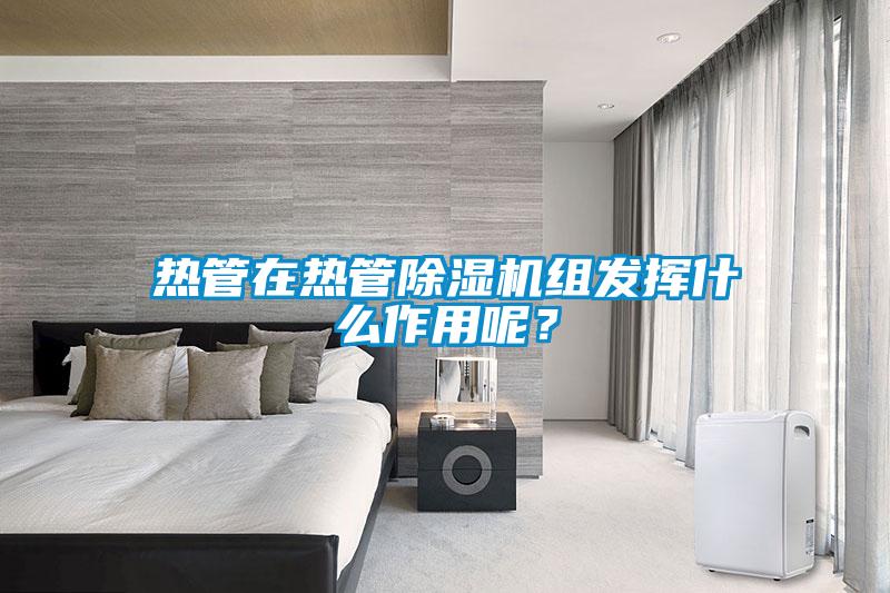 熱管在熱管除濕機(jī)組發(fā)揮什么作用呢?