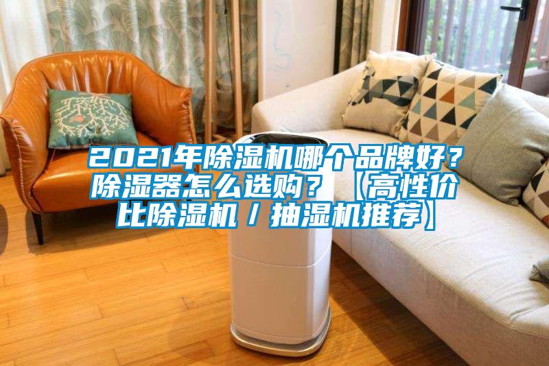 2021年除濕機(jī)哪個(gè)品牌好？除濕器怎么選購？【高性價(jià)比除濕機(jī)／抽濕機(jī)推薦】