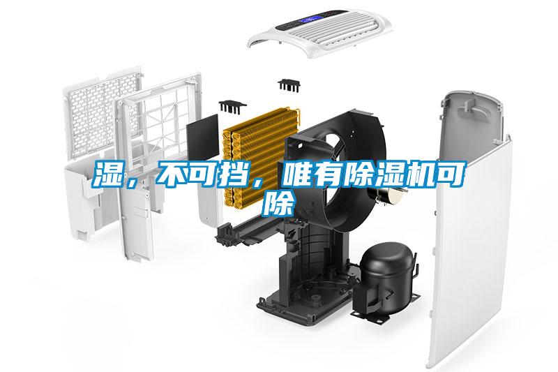 濕，不可擋，唯有除濕機可除