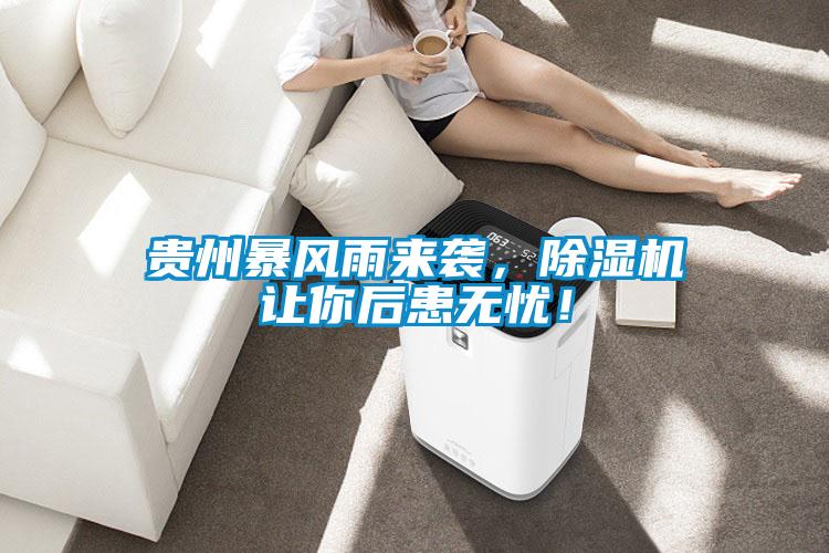貴州暴風(fēng)雨來襲，除濕機讓你后患無憂！
