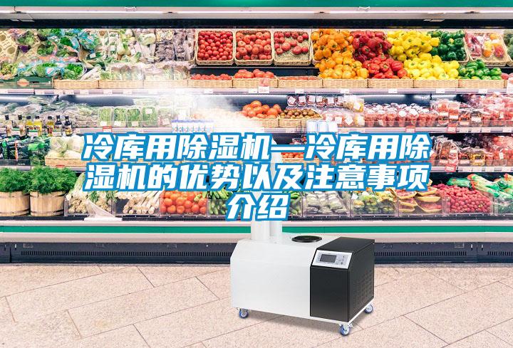 冷庫用除濕機(jī)—冷庫用除濕機(jī)的優(yōu)勢(shì)以及注意事項(xiàng)介紹